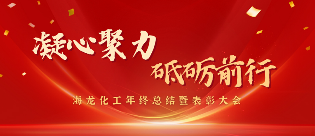 表彰 | 凝心聚力，砥礪前行，海龍化工年終總結(jié)暨表彰大會圓滿舉行
